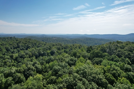 16.625 Acres of Land For Sale in Patrick County, Virginia - image 19