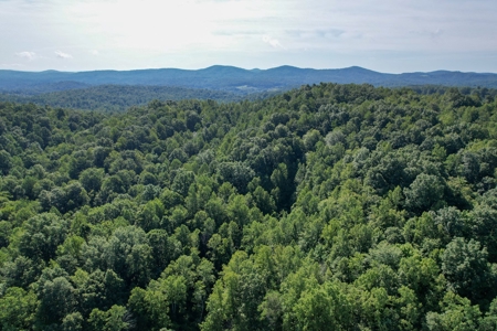 16.625 Acres of Land For Sale in Patrick County, Virginia - image 17