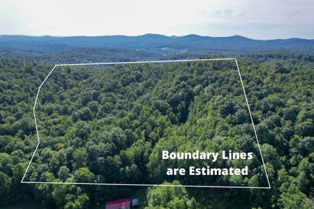 16.625 Acres of Land For Sale in Patrick County, Virginia - image 14