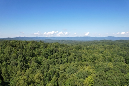 16.625 Acres of Land For Sale in Patrick County, Virginia - image 11