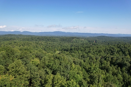 16.625 Acres of Land For Sale in Patrick County, Virginia - image 21