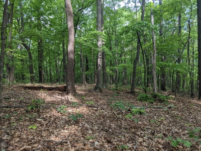 16.625 Acres of Land For Sale in Patrick County, Virginia - image 4