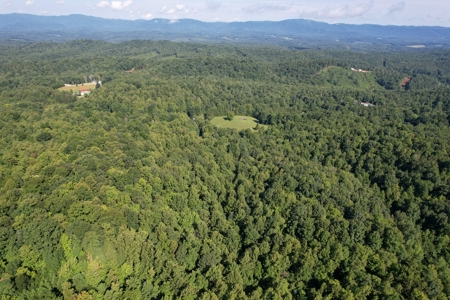 16.625 Acres of Land For Sale in Patrick County, Virginia - image 24