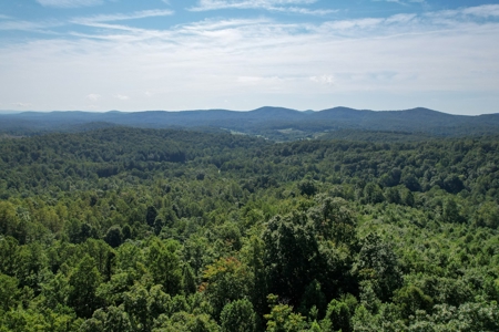 16.625 Acres of Land For Sale in Patrick County, Virginia - image 20