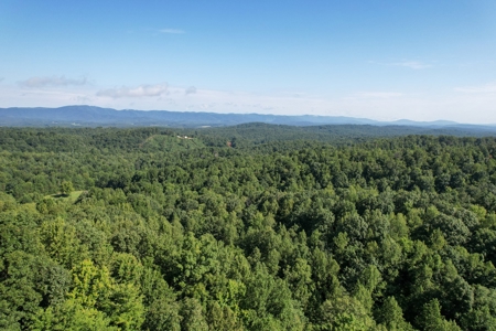 16.625 Acres of Land For Sale in Patrick County, Virginia - image 23