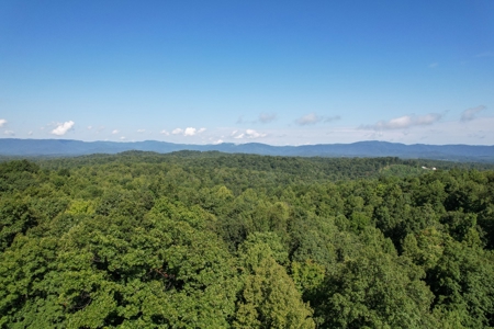 16.625 Acres of Land For Sale in Patrick County, Virginia - image 13