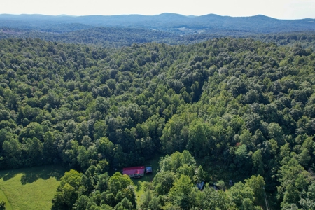 16.625 Acres of Land For Sale in Patrick County, Virginia - image 15