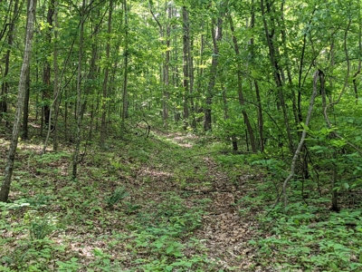 16.625 Acres of Land For Sale in Patrick County, Virginia - image 1