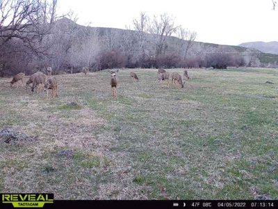 Bar 8 Bar Ranch - image 32