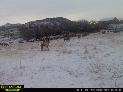 Bar 8 Bar Ranch - image 30