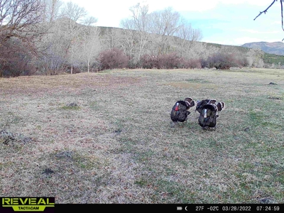 Bar 8 Bar Ranch - image 35