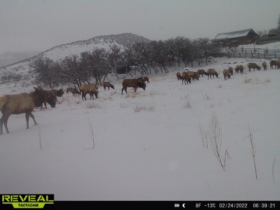 Bar 8 Bar Ranch - image 31