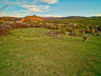 Bar 8 Bar Ranch - image 10