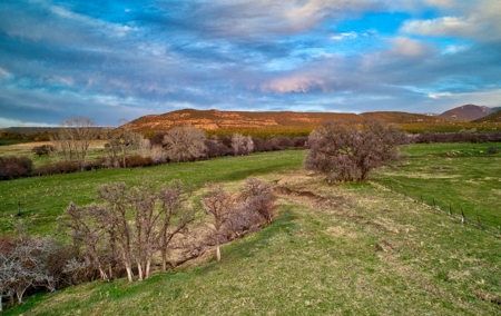 Bar 8 Bar Ranch - image 8