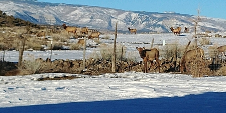 Bar 8 Bar Ranch - image 39