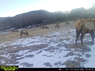 Bar 8 Bar Ranch - image 28