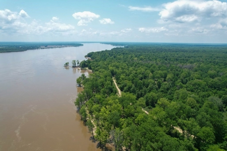 130 Acres Deer/Duck Hunting Property for Sale Madison Parish - image 16