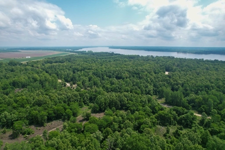 130 Acres Deer/Duck Hunting Property for Sale Madison Parish - image 14