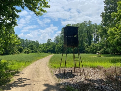 130 Acres Deer/Duck Hunting Property for Sale Madison Parish - image 30