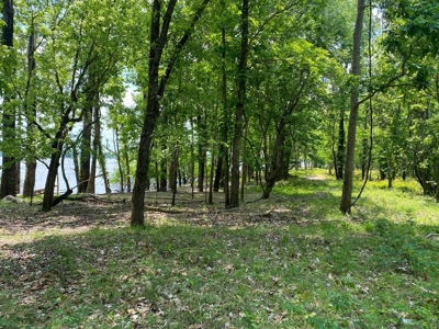 130 Acres Deer/Duck Hunting Property for Sale Madison Parish - image 32