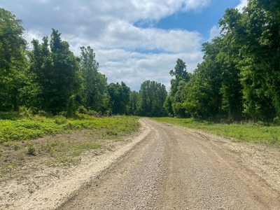 130 Acres Deer/Duck Hunting Property for Sale Madison Parish - image 22