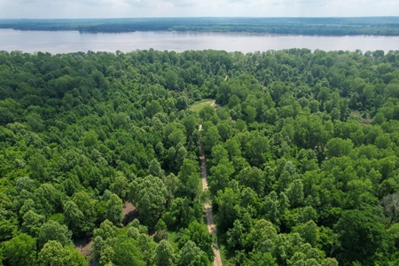 130 Acres Deer/Duck Hunting Property for Sale Madison Parish - image 10