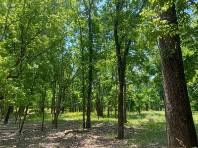 130 Acres Deer/Duck Hunting Property for Sale Madison Parish - image 34