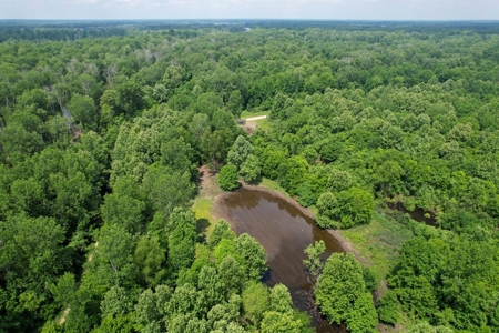130 Acres Deer/Duck Hunting Property for Sale Madison Parish - image 12