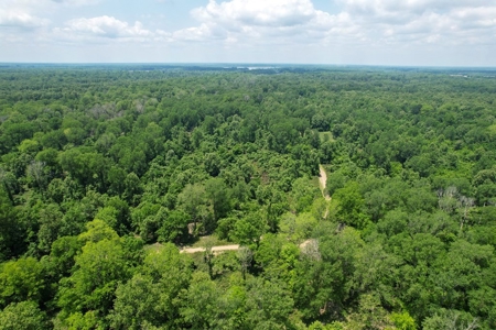130 Acres Deer/Duck Hunting Property for Sale Madison Parish - image 21