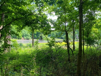 130 Acres Deer/Duck Hunting Property for Sale Madison Parish - image 27