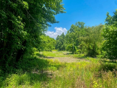 130 Acres Deer/Duck Hunting Property for Sale Madison Parish - image 44