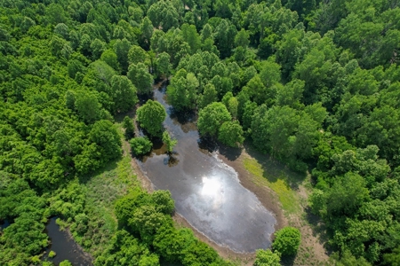 130 Acres Deer/Duck Hunting Property for Sale Madison Parish - image 7