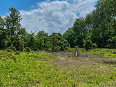 130 Acres Deer/Duck Hunting Property for Sale Madison Parish - image 23