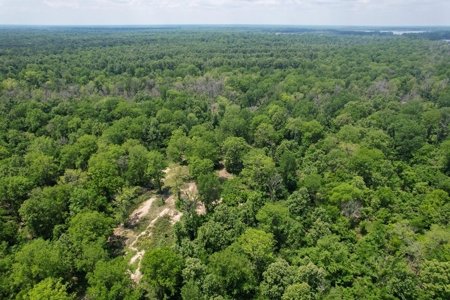 130 Acres Deer/Duck Hunting Property for Sale Madison Parish - image 19