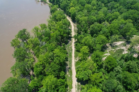 130 Acres Deer/Duck Hunting Property for Sale Madison Parish - image 18