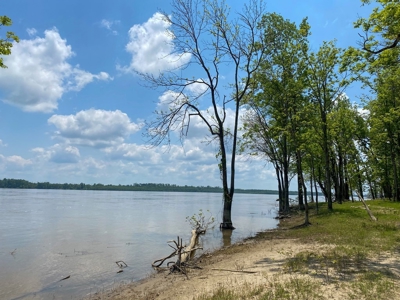 130 Acres Deer/Duck Hunting Property for Sale Madison Parish - image 37