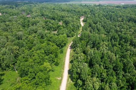 130 Acres Deer/Duck Hunting Property for Sale Madison Parish - image 13