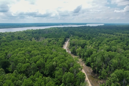 130 Acres Deer/Duck Hunting Property for Sale Madison Parish - image 9