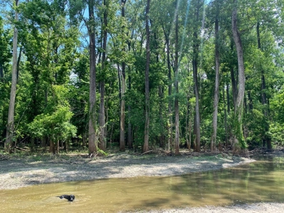 130 Acres Deer/Duck Hunting Property for Sale Madison Parish - image 25