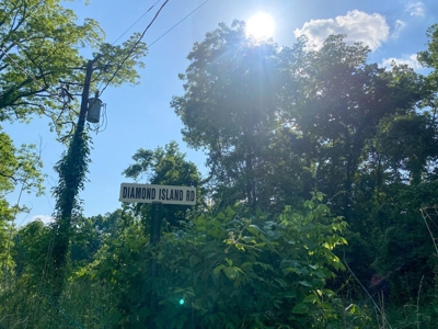 130 Acres Deer/Duck Hunting Property for Sale Madison Parish - image 6