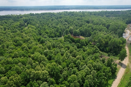 130 Acres Deer/Duck Hunting Property for Sale Madison Parish - image 5