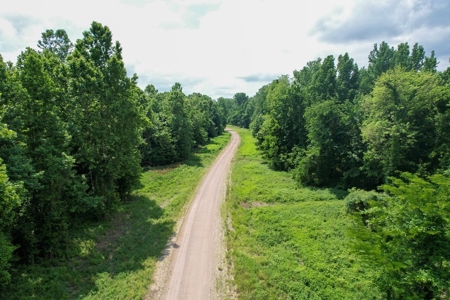 130 Acres Deer/Duck Hunting Property for Sale Madison Parish - image 15