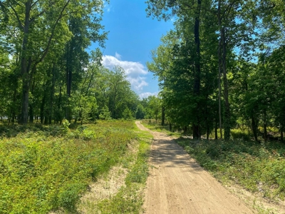 130 Acres Deer/Duck Hunting Property for Sale Madison Parish - image 38