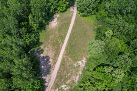 130 Acres Deer/Duck Hunting Property for Sale Madison Parish - image 11