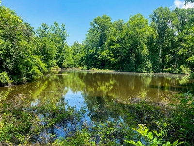 130 Acres Deer/Duck Hunting Property for Sale Madison Parish - image 28