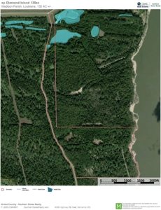 130 Acres Deer/Duck Hunting Property for Sale Madison Parish - image 48