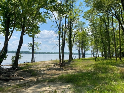 130 Acres Deer/Duck Hunting Property for Sale Madison Parish - image 36