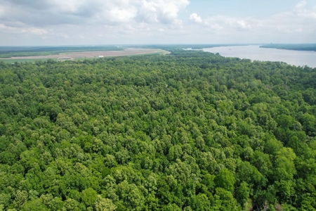 130 Acres Deer/Duck Hunting Property for Sale Madison Parish - image 8