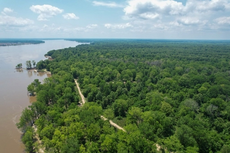 130 Acres Deer/Duck Hunting Property for Sale Madison Parish - image 17