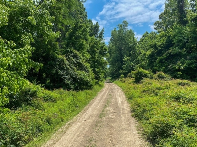 130 Acres Deer/Duck Hunting Property for Sale Madison Parish - image 29
